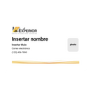 SP Business Cards (With Image) US