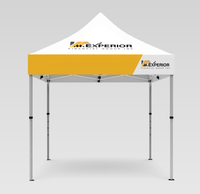 10' x 10' Tent Canopy