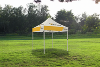10' x 10' Tent Canopy