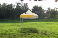 10' x 10' Tent Canopy